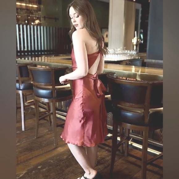 Bishop + Young Sloan Dress in Rose Size Large - Picture 4 of 6